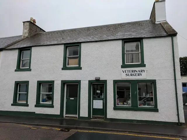 Beth Newman's Veterinary Surgery practice photo