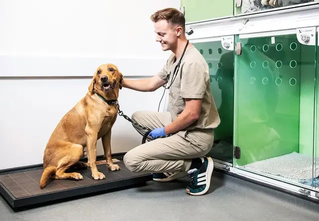 3 Mile Veterinary Centre practice photo 2