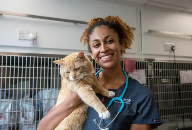 Goddard Veterinary Group - Plaistow practice photo
