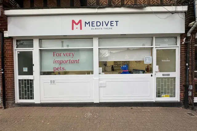 Medivet - Petts Wood (All Pets) practice photo