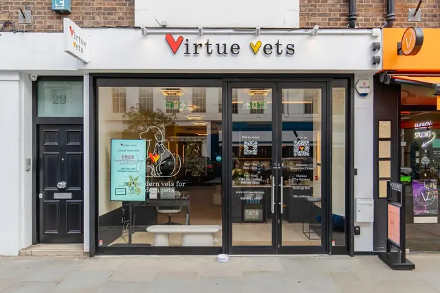 Virtue Vets group photo