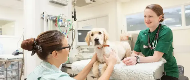 Goddard Veterinary Group - Gidea Park practice photo