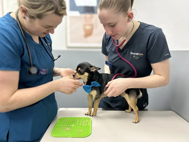 Claro Hill Vets practice photo