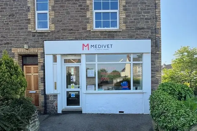 Medivet - Oldland Common (Oldland Common Veterinary Surgery) practice photo