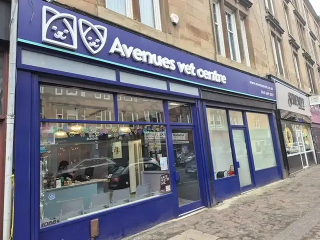 Avenues Veterinary Centre - Mount Florida practice photo