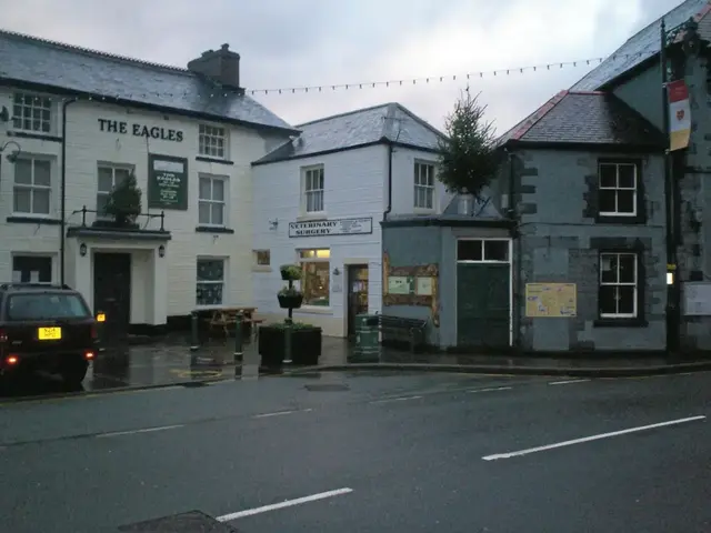 Dee Valley Vets - Corwen practice photo