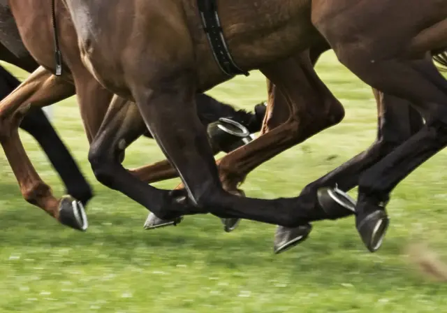 Summerhill Equine Vets practice photo 2