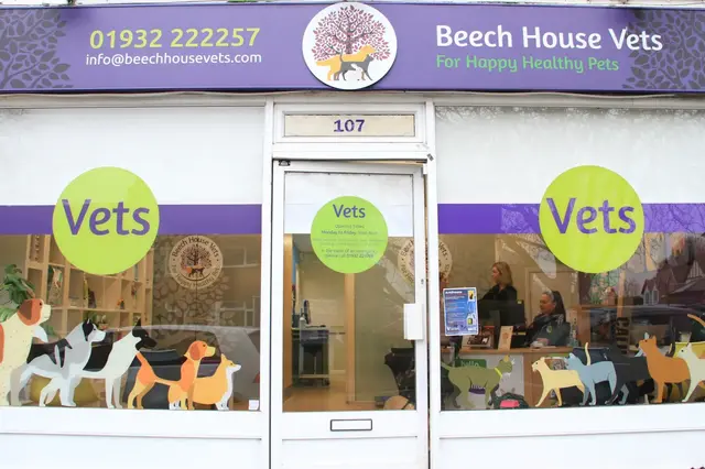 Beech House Vets - Shepperton practice photo