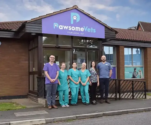 Pawsome Vets practice photo