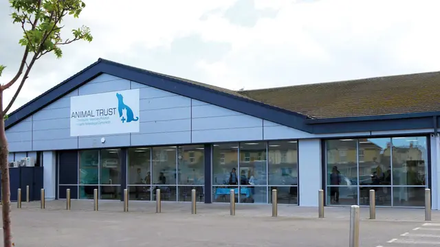 Animal Trust Vets Rhyl – Modern Veterinary Clinic in Rhyl, North Wales
