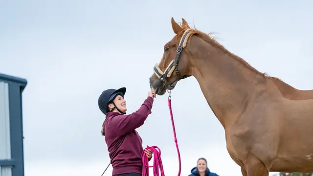 Thistle Equine Vets - Strathaven practice photo