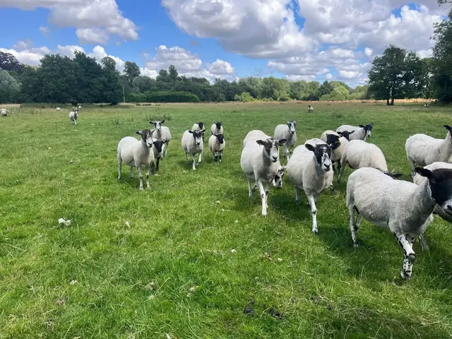Friars Moor Livestock Health practice photo 2