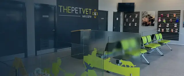 The Pet Vet - Liverpool practice photo 3
