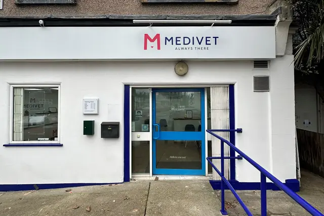 Medivet - Streatham (Vale Veterinary Clinic) practice photo