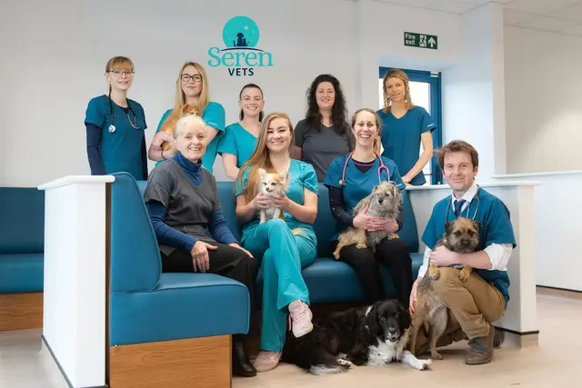 Seren Vets practice photo 2