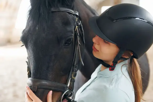 Epona Equine Vets practice photo 2