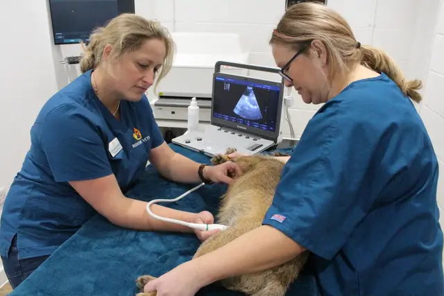 Belvoir Vets practice photo