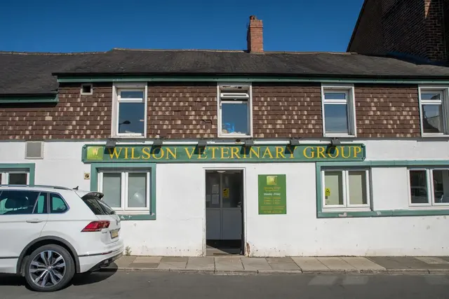 Wilson Vet Group - Spennymoor (Web) 001(1)