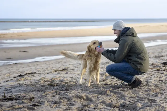 Vets on the Beach practice photo