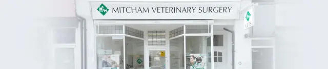 Mitcham Veterinary Surgery practice photo
