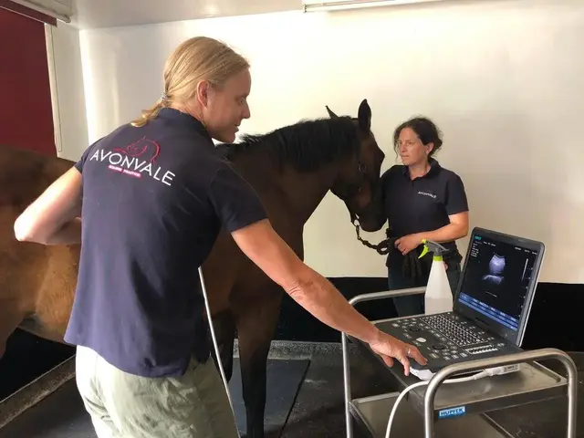 Avonvale Equine Vet Practice practice photo