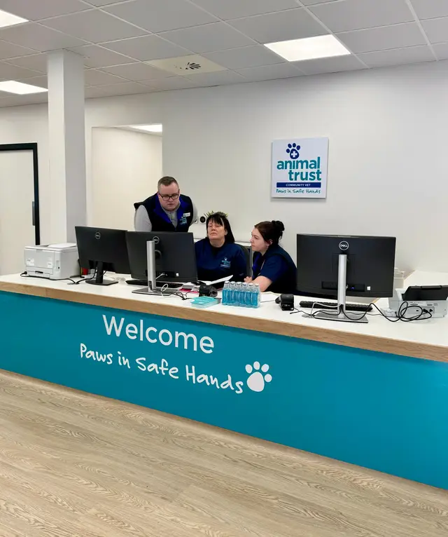 Animal Trust Vets Liverpool – Veterinary Care in Knotty Ash