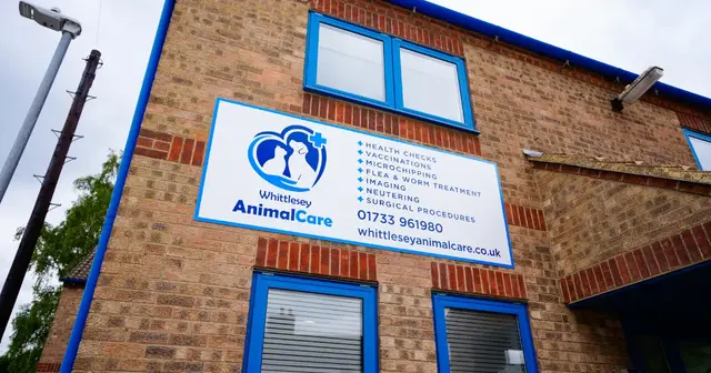 Whittlesey Animal Care practice photo