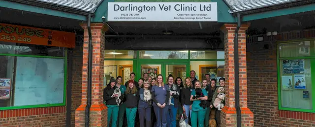 Darlington VET Clinic - Saint Helen Auckland practice photo 2