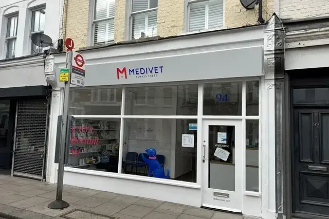 Medivet - Fulham practice photo