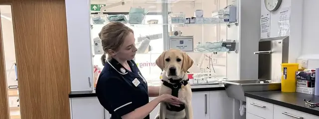 Ferring Street Veterinary Surgery (East Preston) practice photo