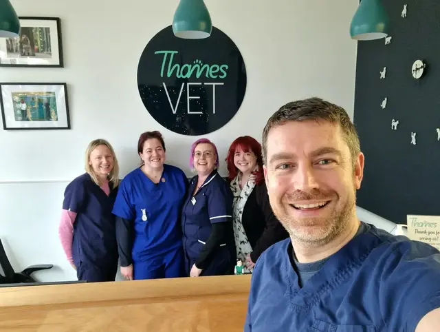 Thames Vet practice photo