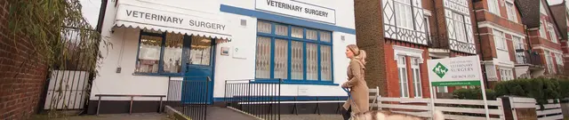 Streatham Hill Vets