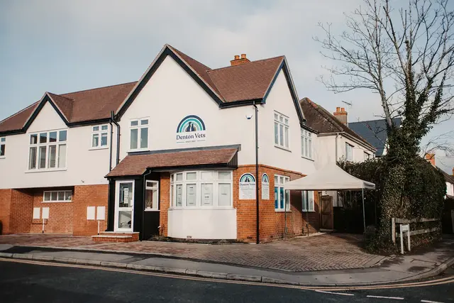 Denton Veterinary Surgery practice photo