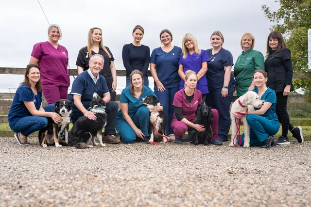 A group of people standing outdoors, some crouching beside sitting dogs. They are wearing colorful uniforms, suggesting they might be veterinary staff. A wooden fence is in the background on a gravel surface, with trees visible in the distance.