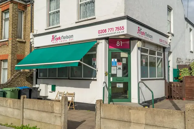Mark Nelson Vet - Thornton Heath practice photo