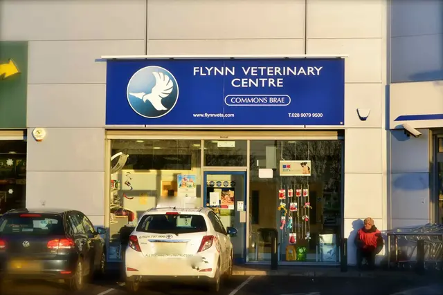 Flynn Vets - Commons Brae practice photo