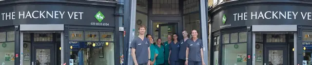 The Hackney Vet practice photo