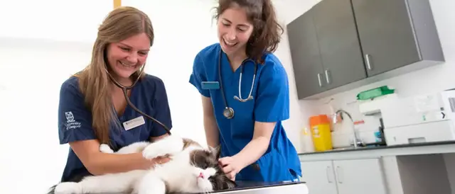 University of Glasgow Small Animal Hospital practice photo
