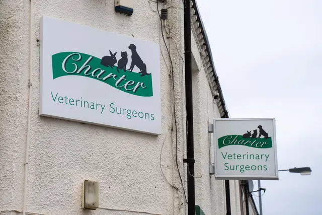 The Willows Veterinary Group - Biddulph (Web) 021