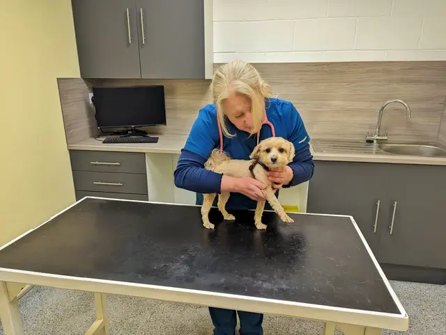 Four Paws Veterinary Clinic practice photo