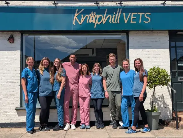 Knaphill Vets practice photo