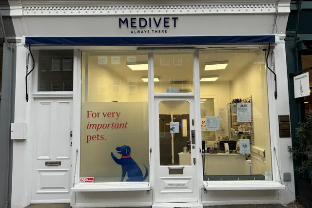 Medivet - Clapham (Cuffe Vets) practice photo