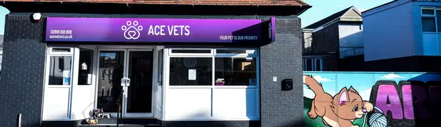 Ace Vets practice photo