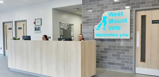 West Mount Veterinary Centre Huddersfield practice photo