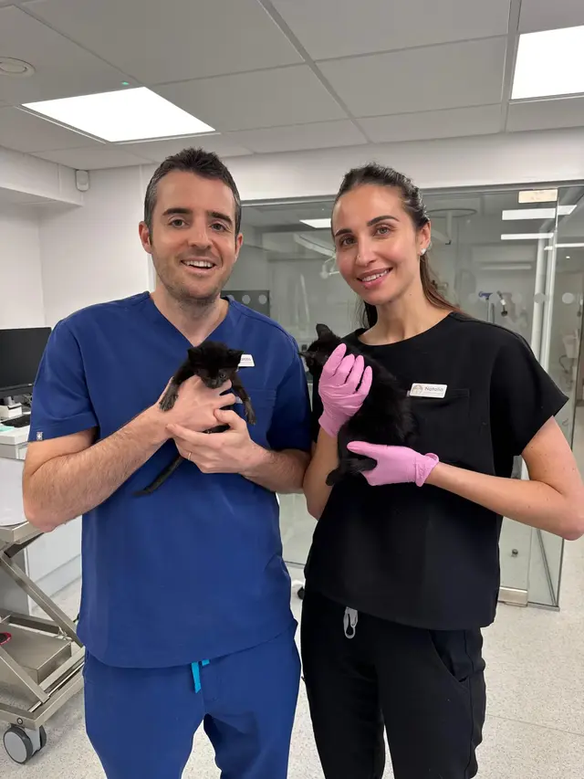 Surrey Family Vets practice photo