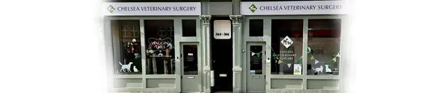 Chelsea Veterinary Surgery storefront