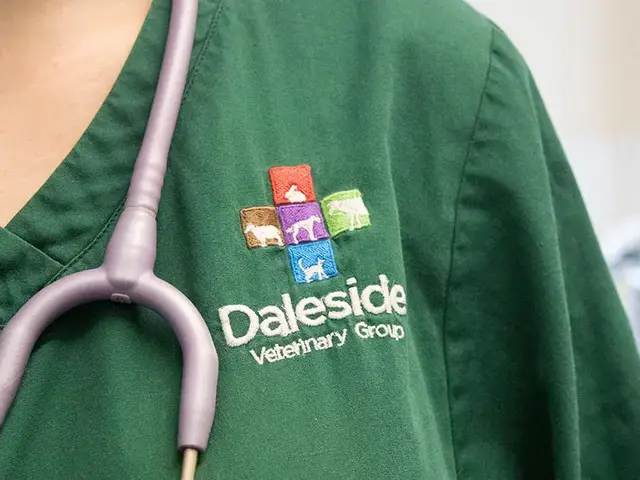 Daleside Vets practice photo 3