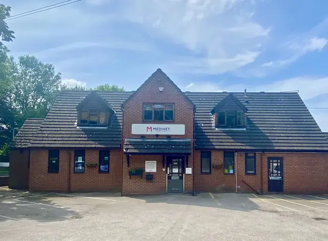 Medivet - Newcastle-under-Lyme practice photo