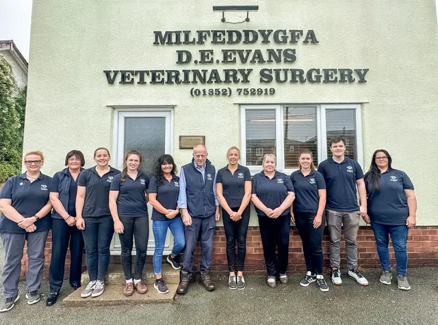 Mold Veterinary Practice