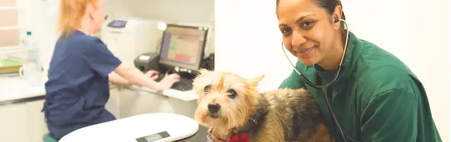 DNA Vetcare - Mead Veterinary Centre practice photo